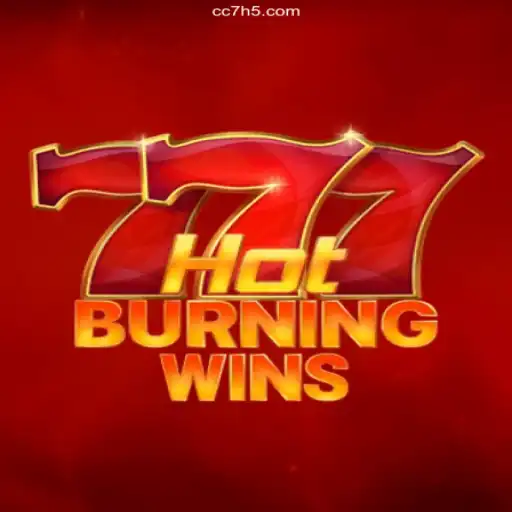 Explore the Thrills of HotBurningWins: A Premier Online Casino Experience