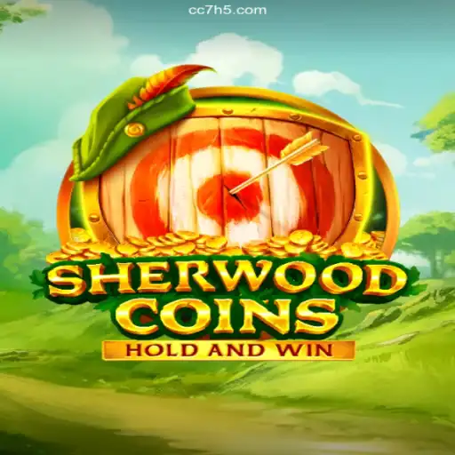 SherwoodCoins: An Engaging Adventure